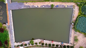 tam coc cat luong homestay