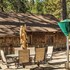 whispering pines