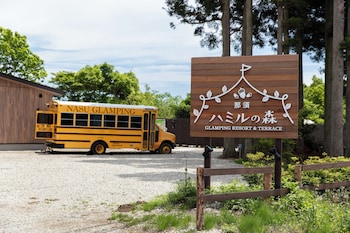 hamirus forest