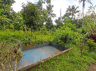 spot on 92567 jati homestay