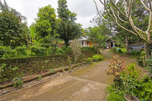 spot on 92567 jati homestay