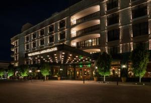 the global ambassador