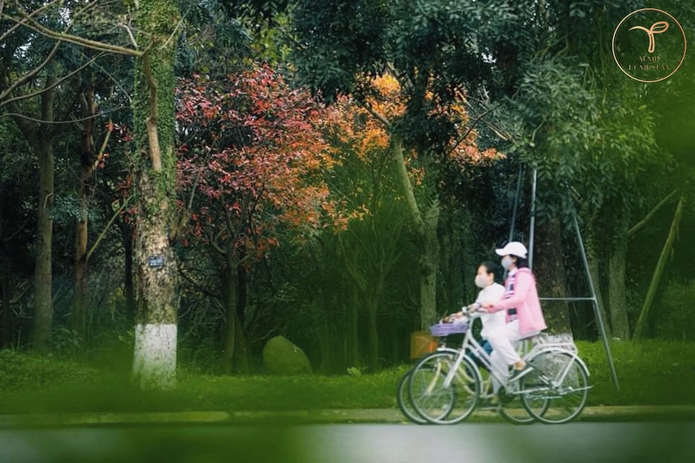 armin homestay ecopark