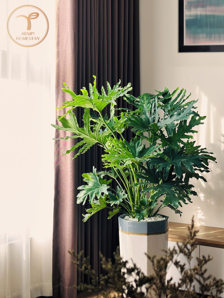 armin homestay ecopark