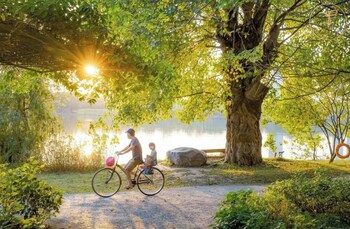 armin homestay ecopark