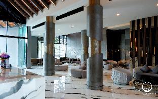see stars and forest resort