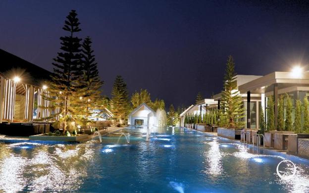 see stars and forest resort