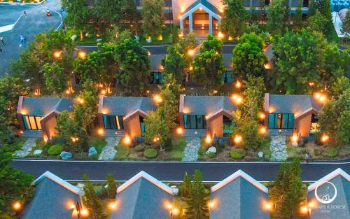see stars and forest resort