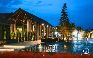 see stars and forest resort