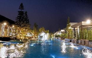 see stars and forest resort