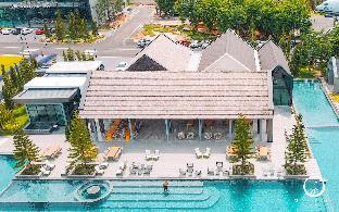 see stars and forest resort