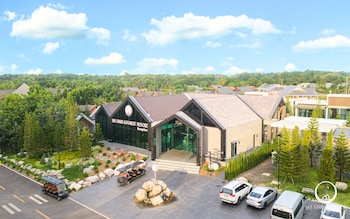 see stars and forest resort