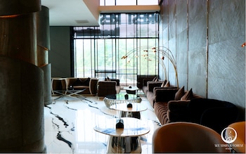 see stars and forest resort