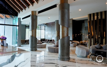 see stars and forest resort