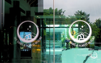 see stars and forest resort