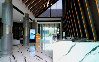 see stars and forest resort