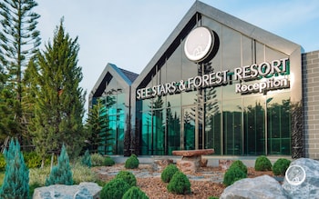 see stars and forest resort