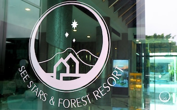 see stars and forest resort
