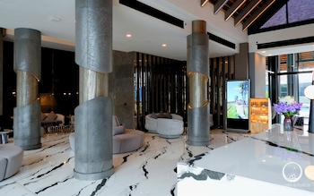 see stars and forest resort