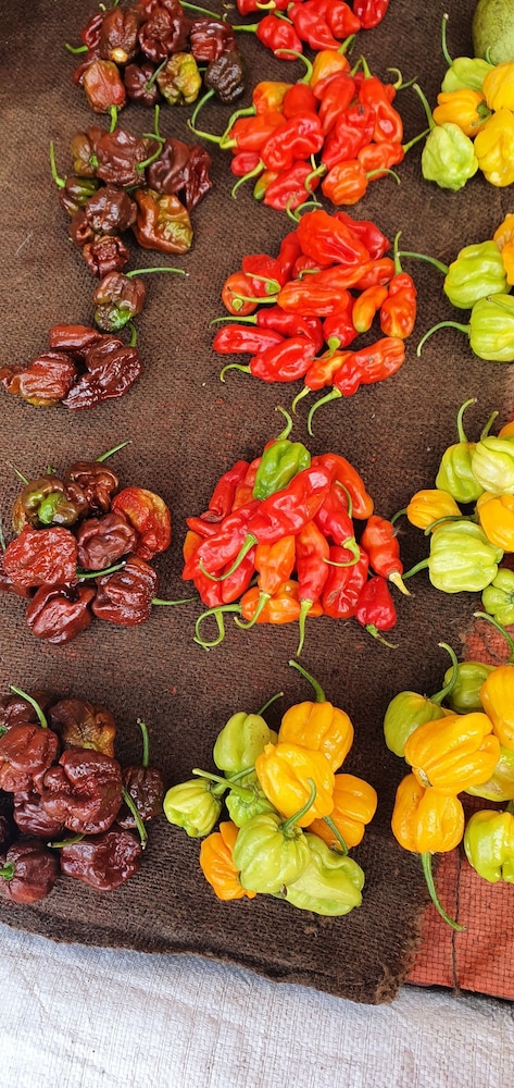 matemwe ocean view villas