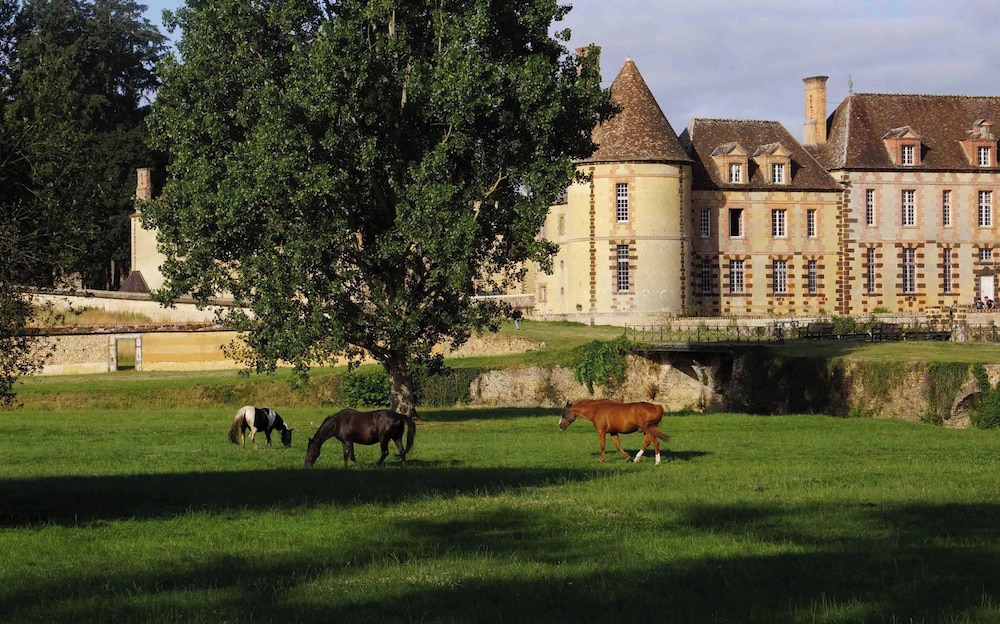 chateau de la riviere