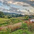 bohemia glamping