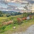 bohemia glamping