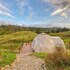bohemia glamping