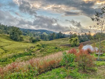 bohemia glamping