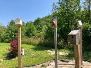 glenn meadow bed and breakfast