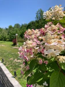 glenn meadow bed and breakfast