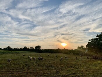 glenn meadow bed and breakfast