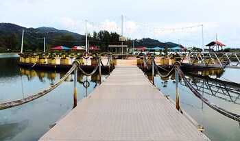 lumut
