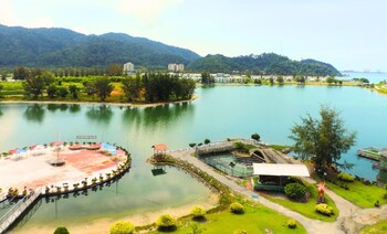 lumut