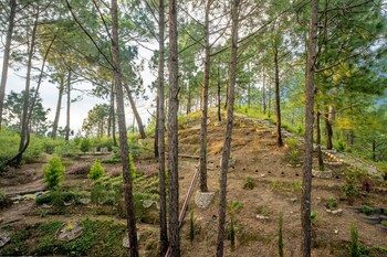 Chillaru Resort,Kasauli>>Chail,2.5 star