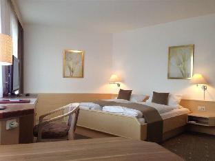 arthotel ana panorama