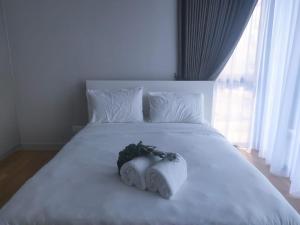 datum jelatek by plush