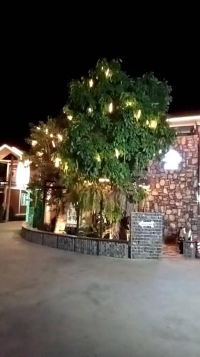 hi creek resort