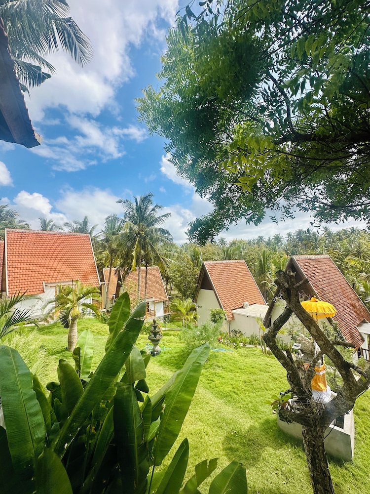 green coco suite