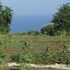 agriresidence ninea