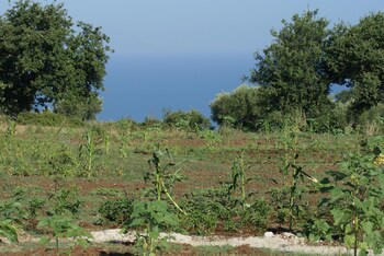 agriresidence ninea