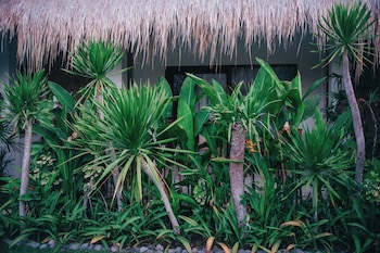 lombok