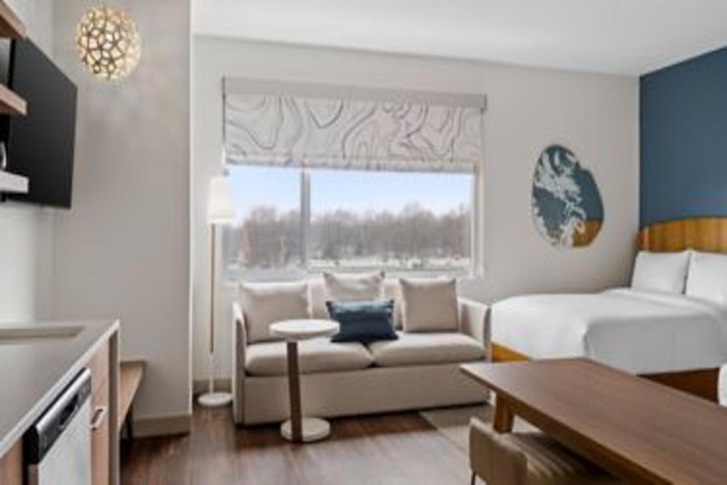 element springfield south