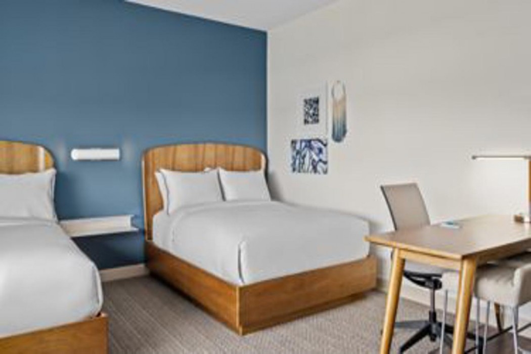 element springfield south