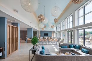 element springfield south