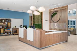 element springfield south