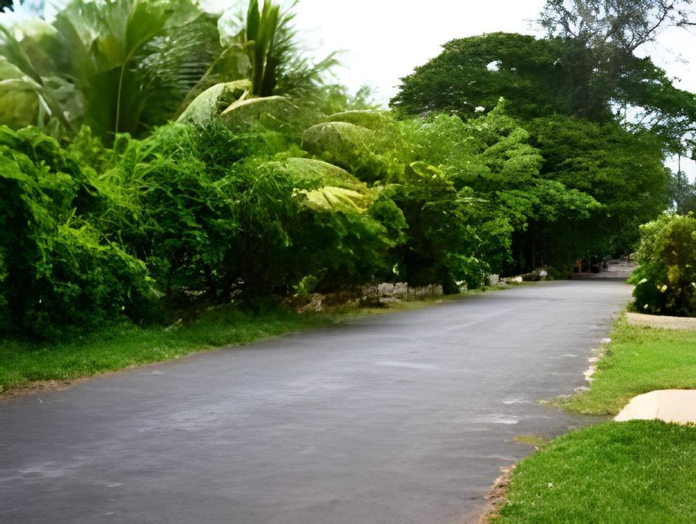 tharavad heritage resort