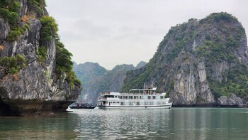 lily cruise