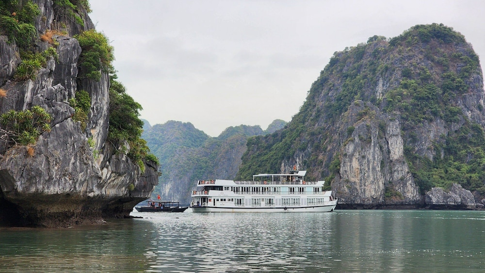 lily cruise