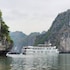 lily cruise